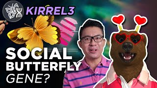 Social Butteryfly