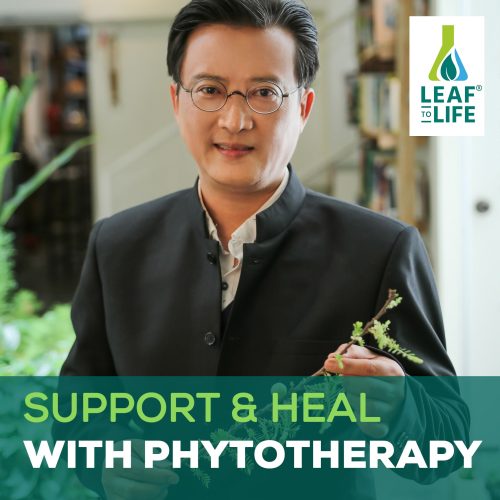 [60 MINS CONSULTATION] Phytotherapy western herbal healing session