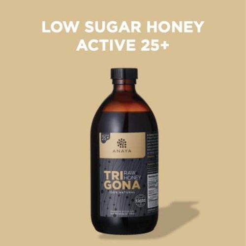 Raw Trigona Honey (Active 25+) 650g