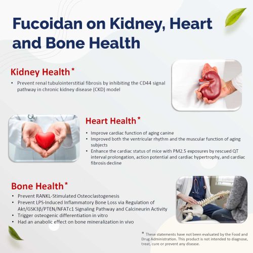 Fucoidan on Kidney, heart and bone health